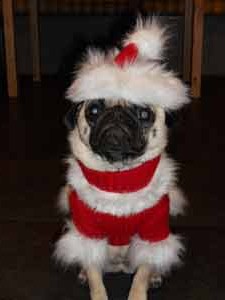 2012 xmas